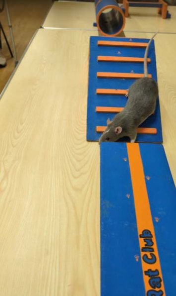 PXL_20251206_170014623_exported_4195