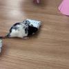 IMG-20260608-WA0008