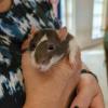 PXL_20260606_160728492_exported_1751_1780937766415