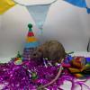 PXL_20260606_161653963_exported_1359_1780935069361