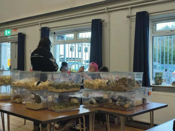 Taken by Lisa K  (1)