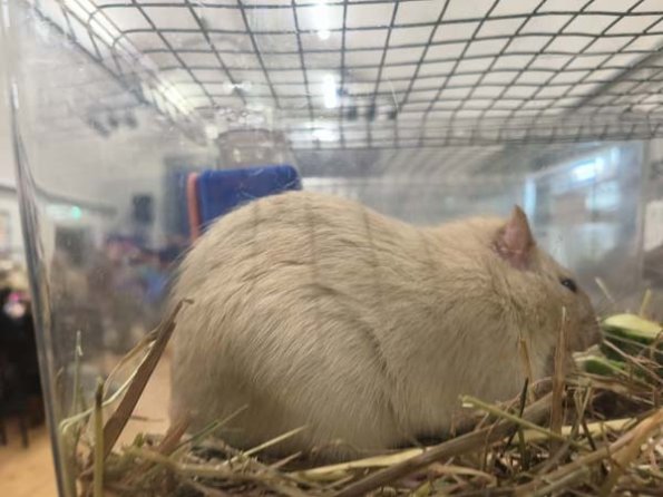 Taken by Lisa K  (11)