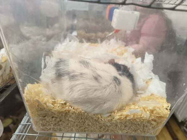 Taken by Lisa K  (15)