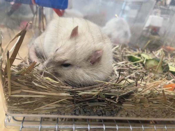 Taken by Lisa K  (16)