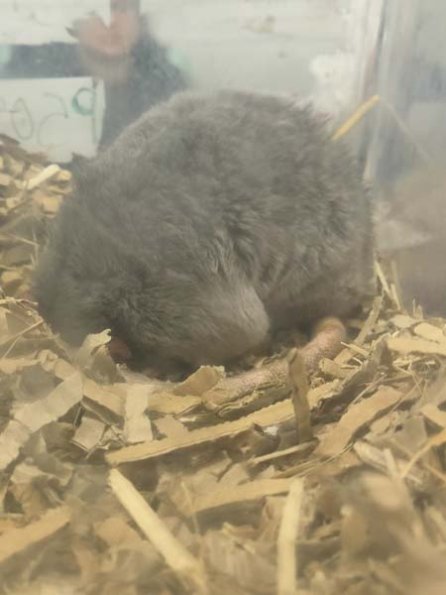 Taken by Lisa K  (19)