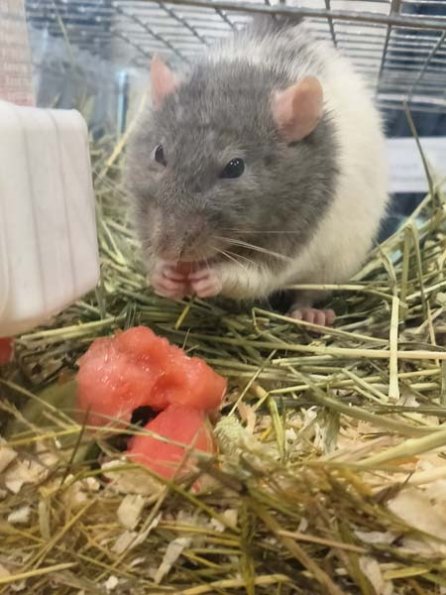 Taken by Lisa K  (20)