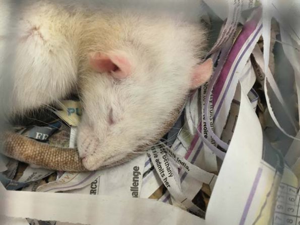 Taken by Lisa K  (21)