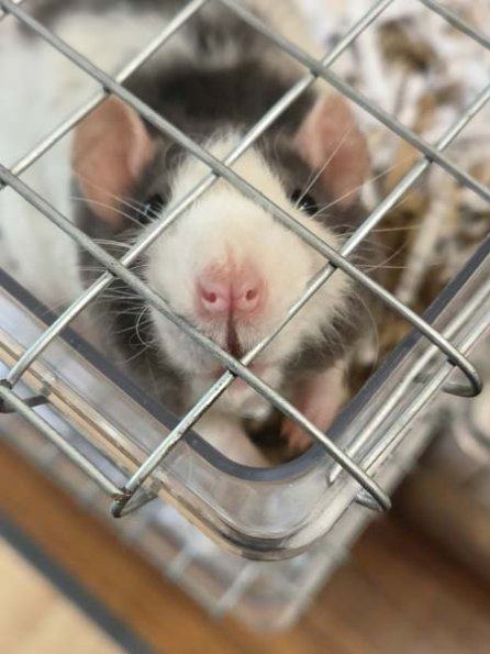 Taken by Lisa K  (22)