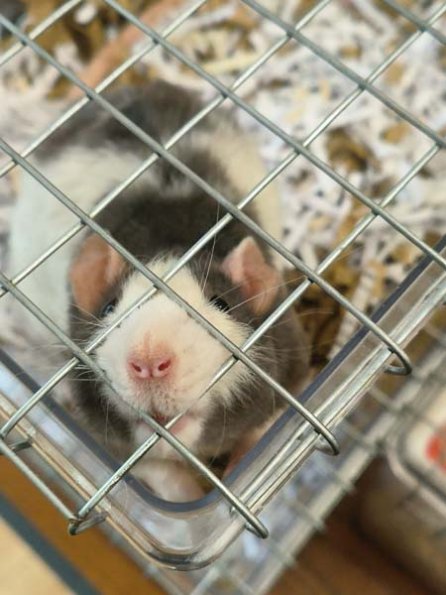 Taken by Lisa K  (23)