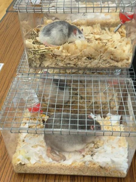 Taken by Lisa K  (25)