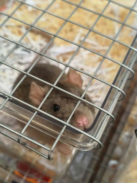 Taken by Lisa K  (26)