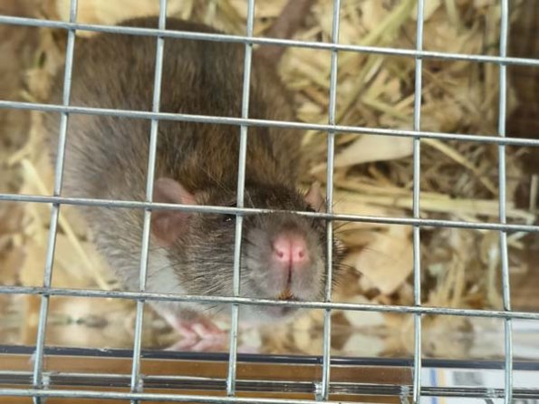 Taken by Lisa K  (27)