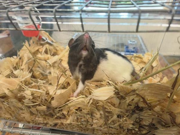 Taken by Lisa K  (4)