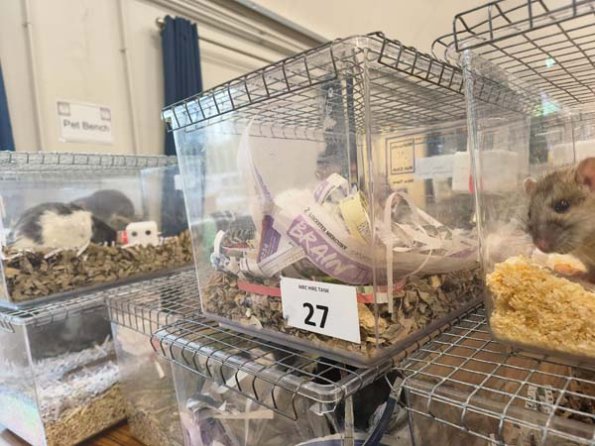 Taken by Lisa K  (5)