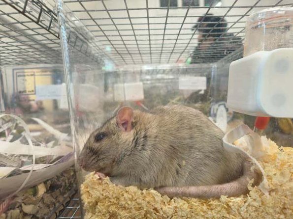 Taken by Lisa K  (7)