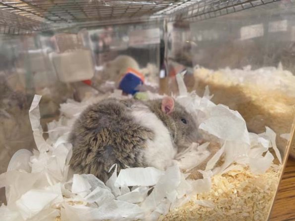 Taken by Lisa K  (8)