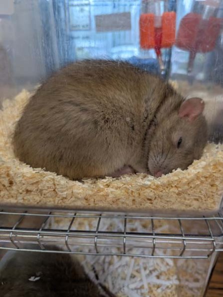 Taken by Rachel  (10)