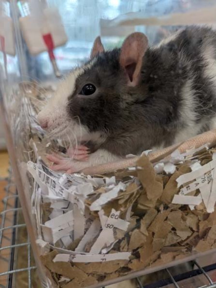 Taken by Rachel  (11)