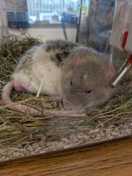 Taken by Rachel  (12)