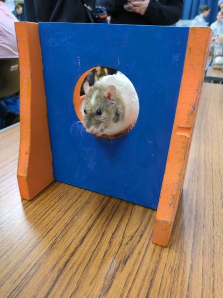 Taken by Rachel  (17)