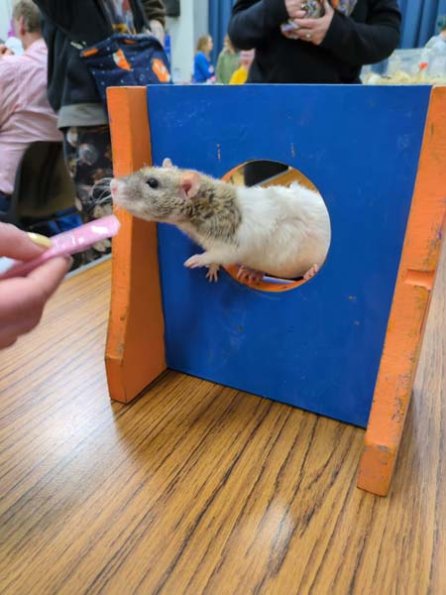 Taken by Rachel  (20)