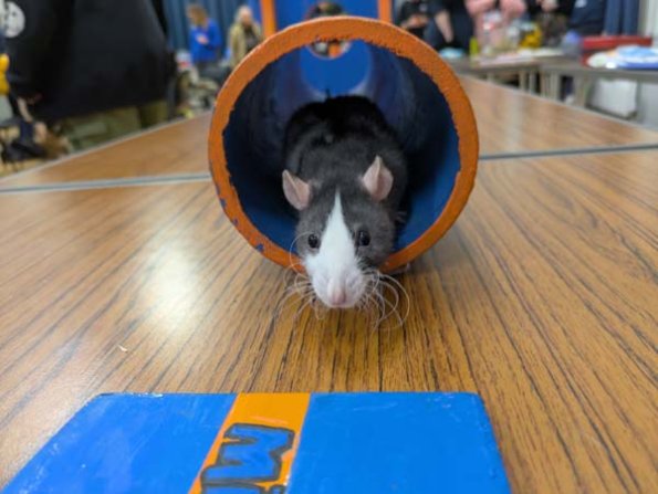 Taken by Rachel  (23)