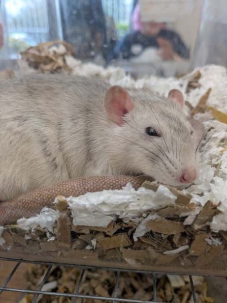 Taken by Rachel  (9)