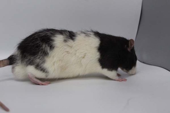 Taken by Rhiannon  (102)