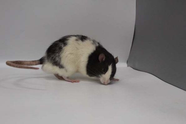 Taken by Rhiannon  (103)