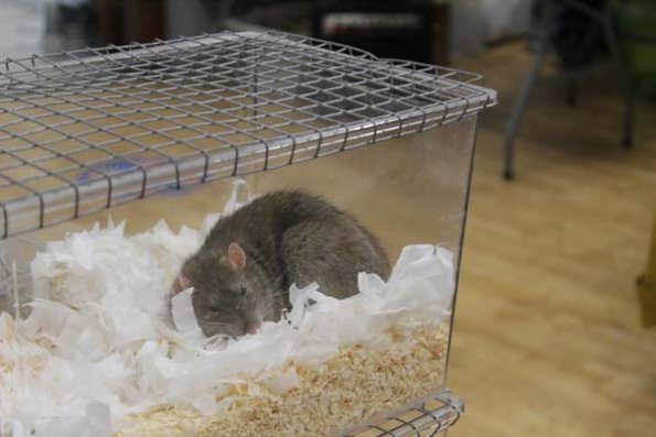 Taken by Rhiannon  (104)