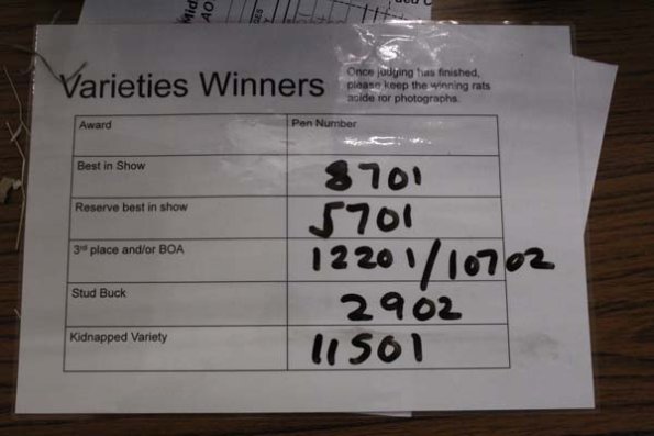 Taken by Rhiannon  (105)