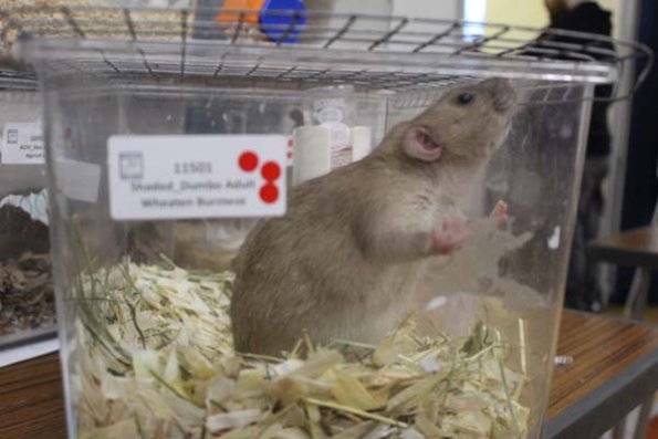 Taken by Rhiannon  (107)