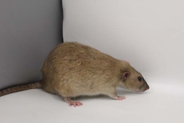 Taken by Rhiannon  (109)