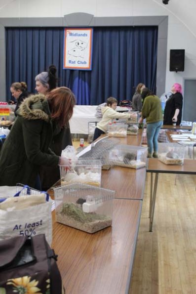 Taken by Rhiannon  (11)