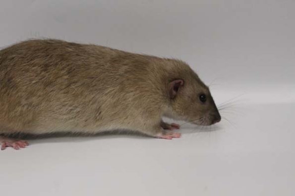 Taken by Rhiannon  (112)