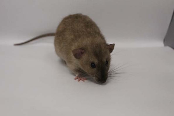 Taken by Rhiannon  (114)