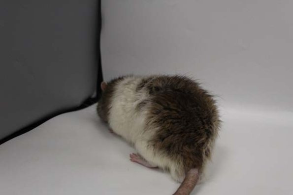 Taken by Rhiannon  (120)