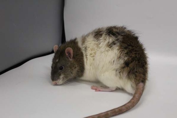 Taken by Rhiannon  (121)