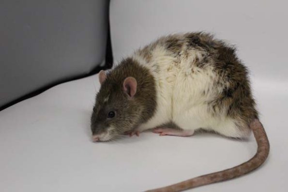 Taken by Rhiannon  (122)