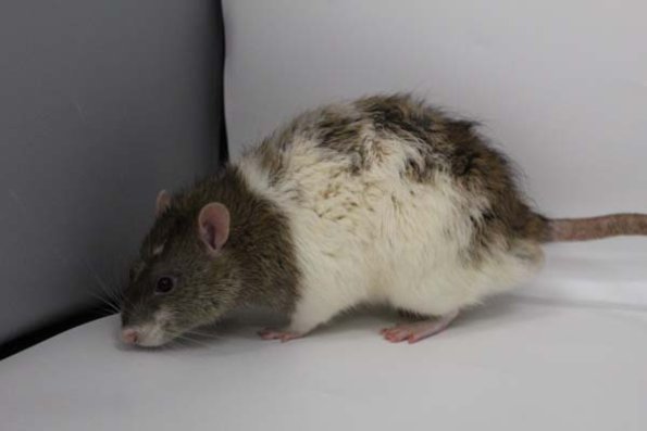 Taken by Rhiannon  (123)