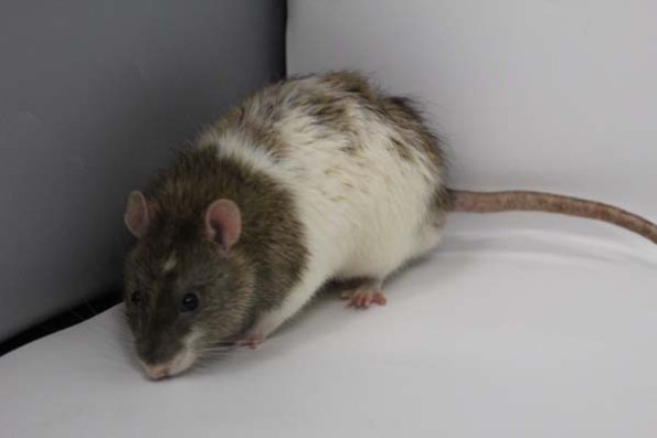 Taken by Rhiannon  (124)