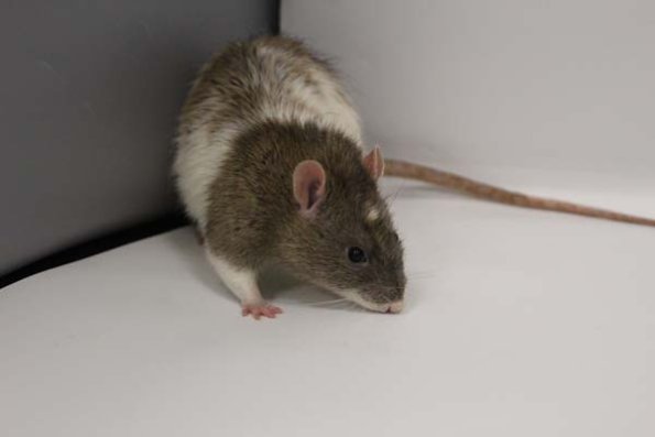 Taken by Rhiannon  (125)