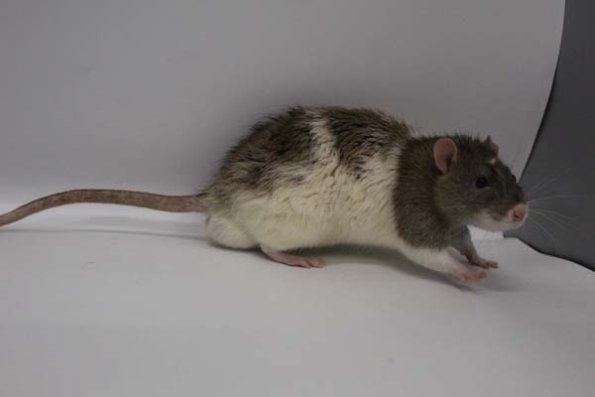 Taken by Rhiannon  (128)