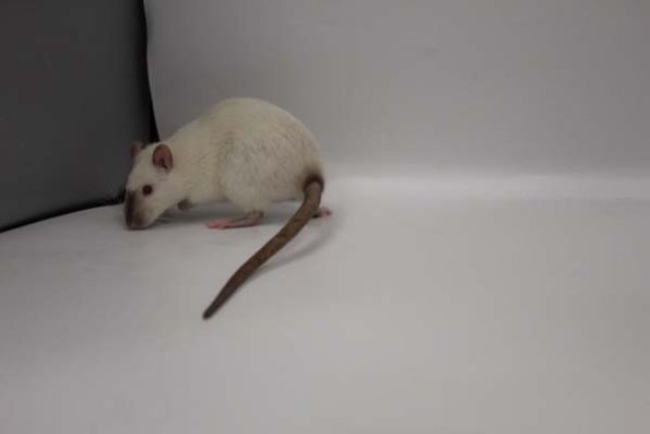 Taken by Rhiannon  (129)