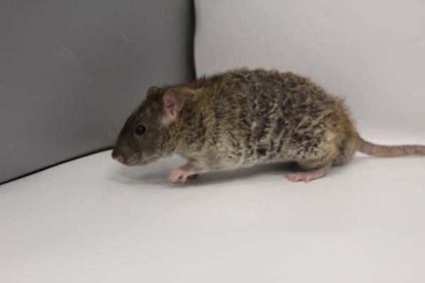 Taken by Rhiannon  (137)