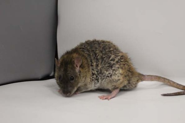 Taken by Rhiannon  (138)