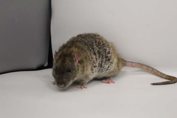 Taken by Rhiannon  (139)