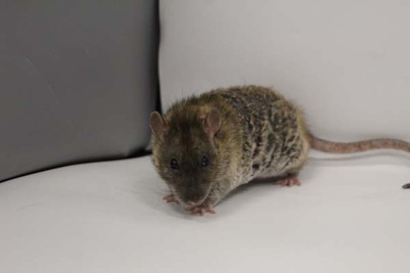 Taken by Rhiannon  (140)