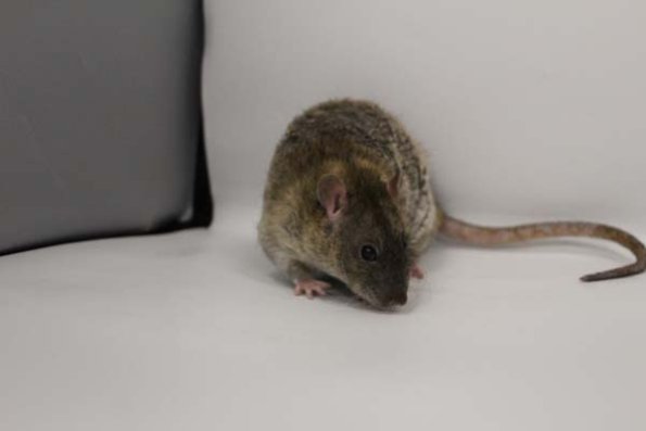 Taken by Rhiannon  (141)