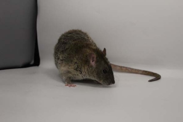 Taken by Rhiannon  (142)